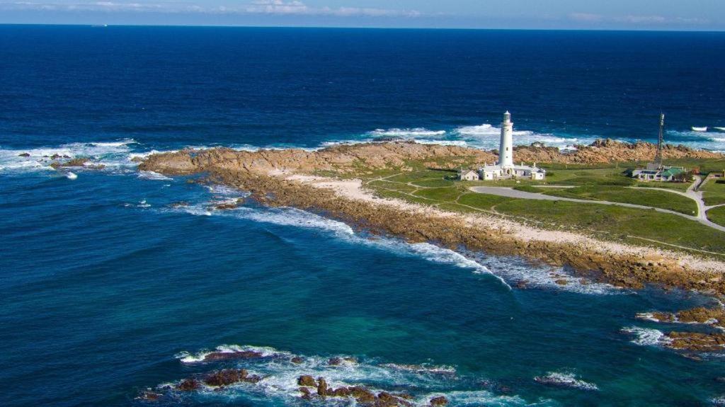 Seal Point Apartments Cape St. Francis Eksteriør billede